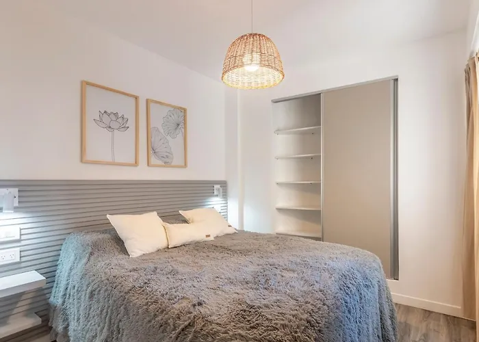Hermoso Departamento En Recoleta